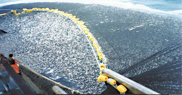 Large trawler net fishing in high seas. Illegal fishing is done by large operations like the trawl fishery pictured.