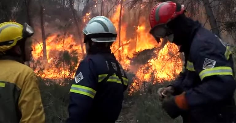 Firefighters look on as wildfires burn in Spain, which the PM says is a sign of the climate emergency