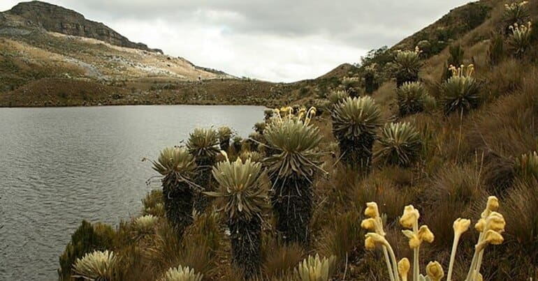 El Cocuy National Park where the Indigenous U'wa are fighting the state of Colombia for recognition of their territorial rights against extractive industries and ecotourism.
