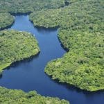 Aerial view of the Amazon with a river winding through dense rainforest.