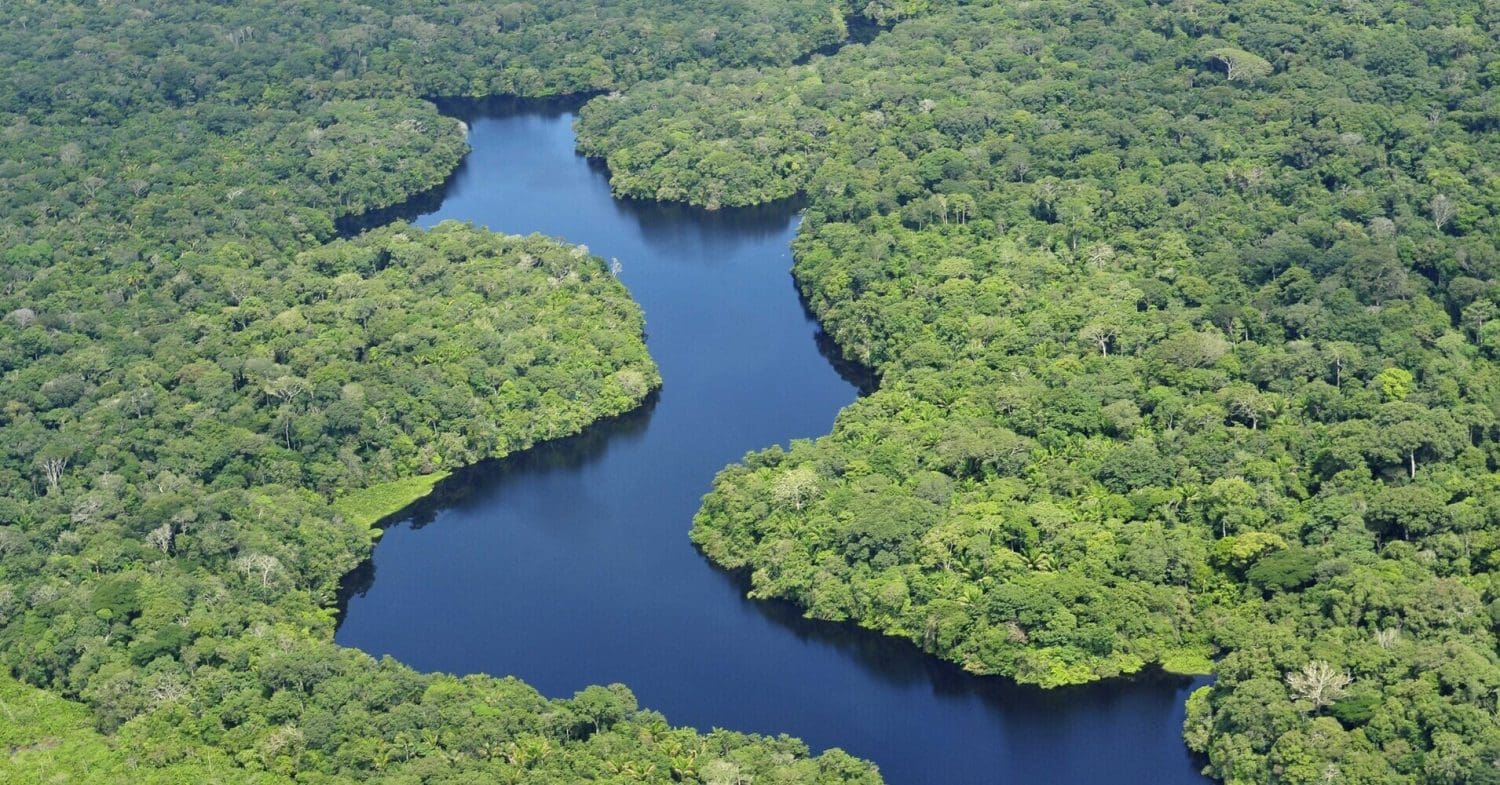 Aerial view of the Amazon with a river winding through dense rainforest.