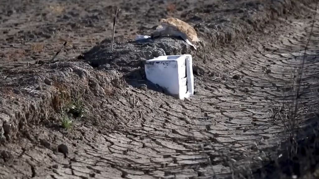 Spain's 2023 drought, made worse by the climate crisis, has left the agricultural sector in chaos
