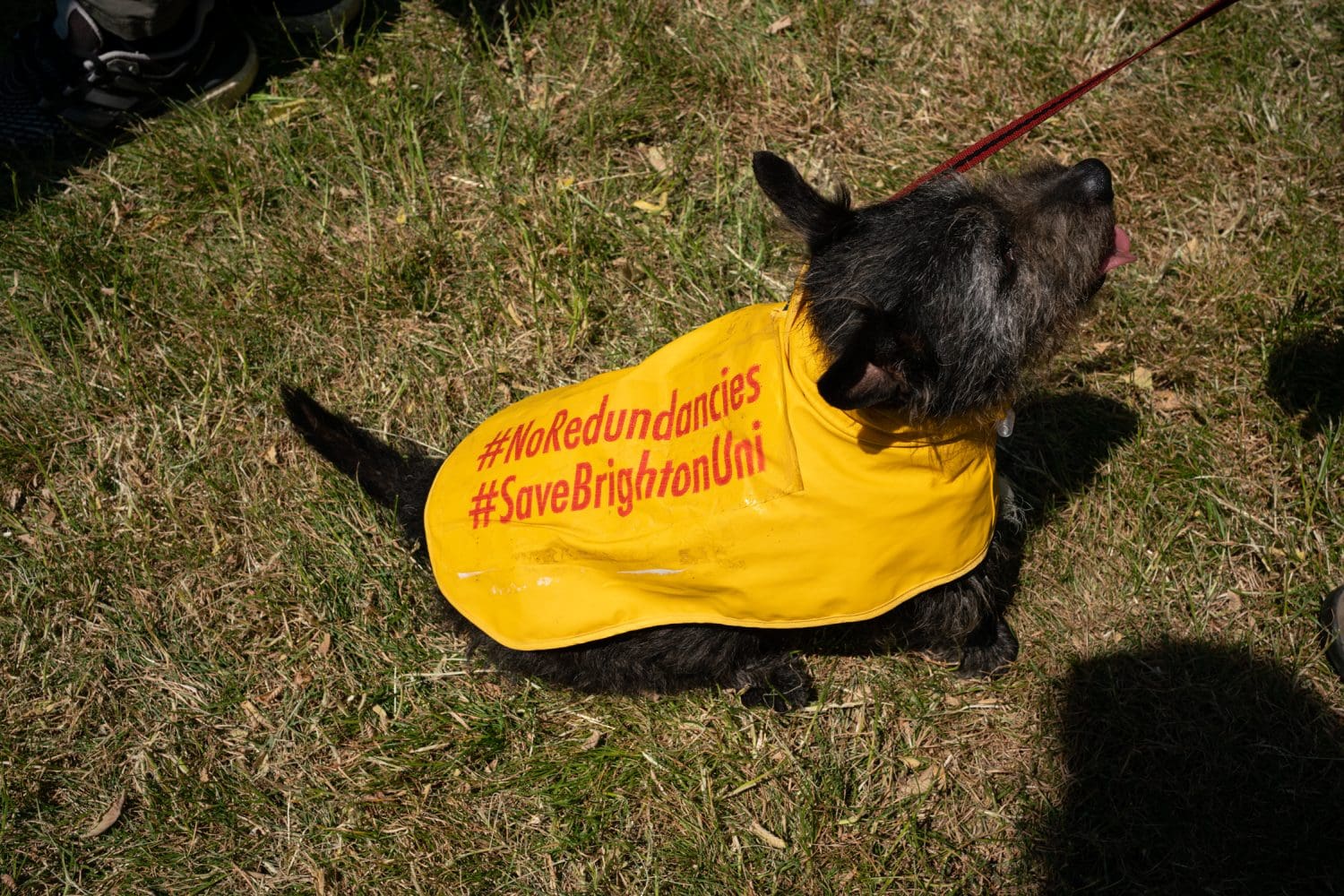 Brighton University Stop the Redundancies March