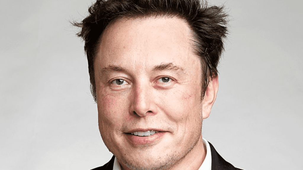 Elon Musk face