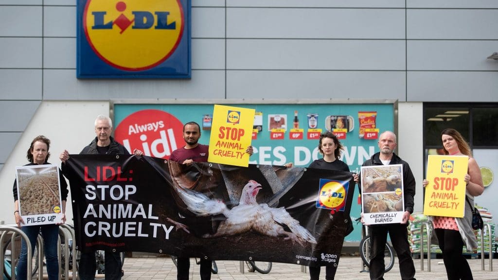Lidl Protest in Glasgow Open Cages
