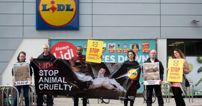 Lidl Protest in Glasgow Open Cages