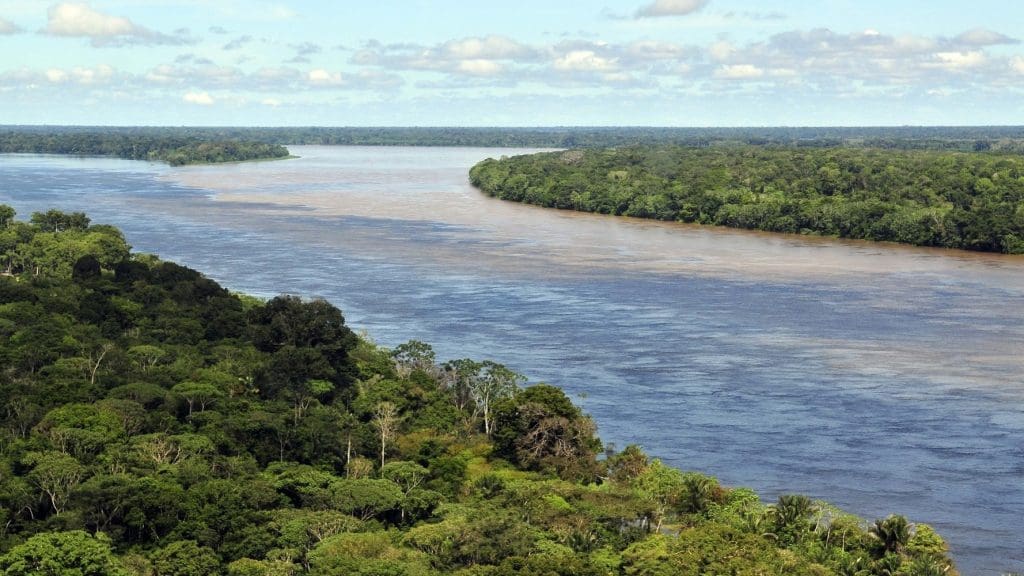 River in the Amazon rainforest.