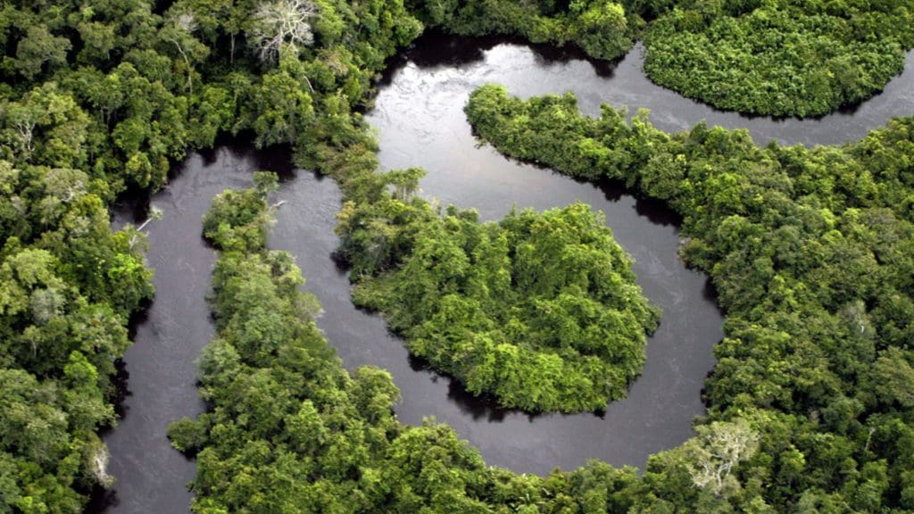 Meandering river in the Amazon rainforest.