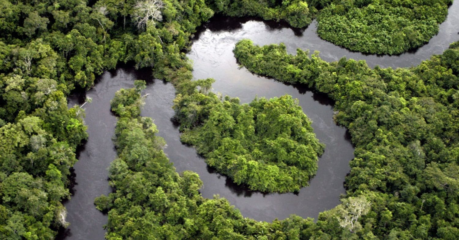 Meandering river in the Amazon rainforest.