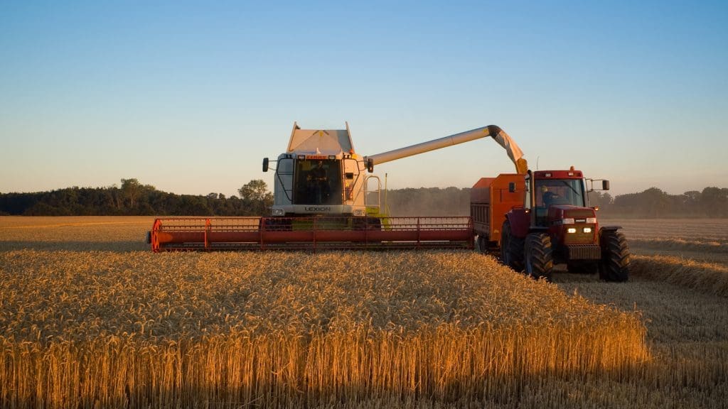 Combine harvester in a field. The EU's food systems are driving biodiversity loss.