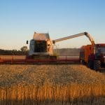 Combine harvester in a field. The EU's food systems are driving biodiversity loss.