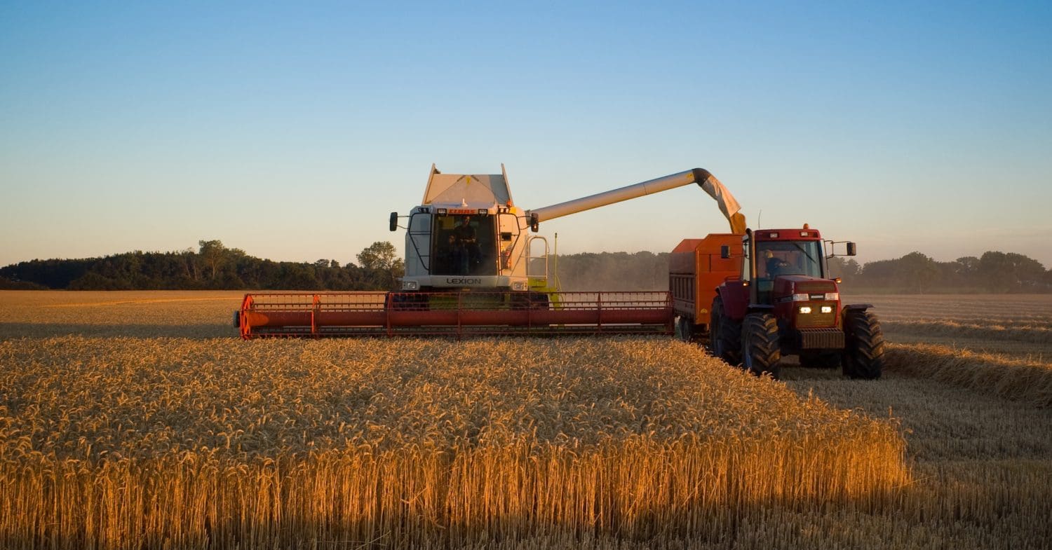 Combine harvester in a field. The EU's food systems are driving biodiversity loss.