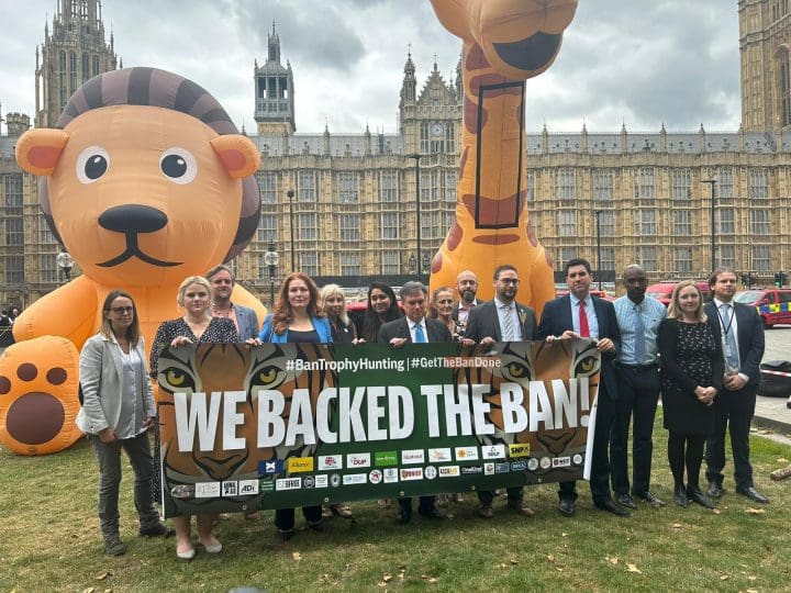 Campaigners for a ban on trophy hunting imports gather outside parliament