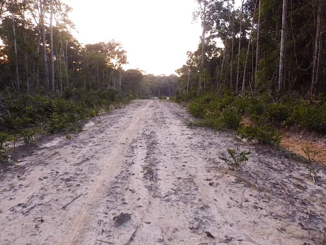 Unpaved illegal side road branching off BR-319