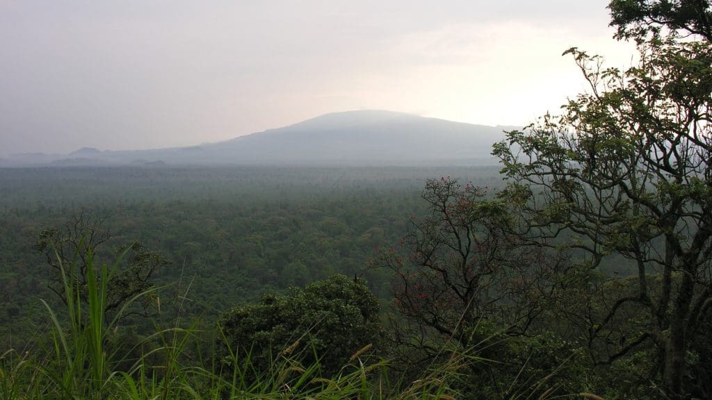 Virunga National Park, where the DRC is opening up new oil and gas blocks.