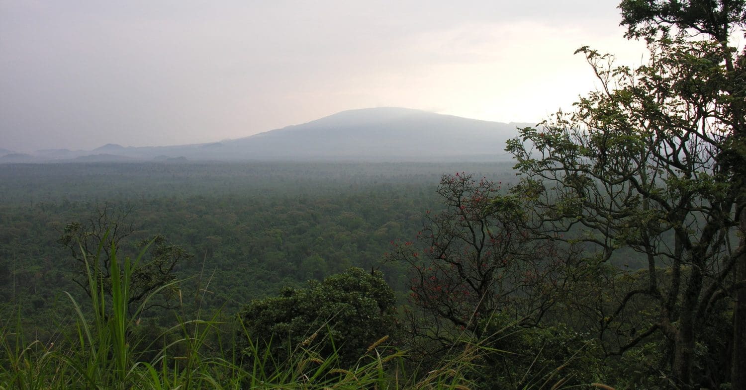 Virunga National Park, where the DRC is opening up new oil and gas blocks.