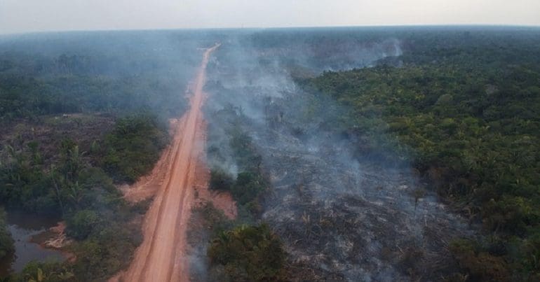 fires around the BR 319 highway