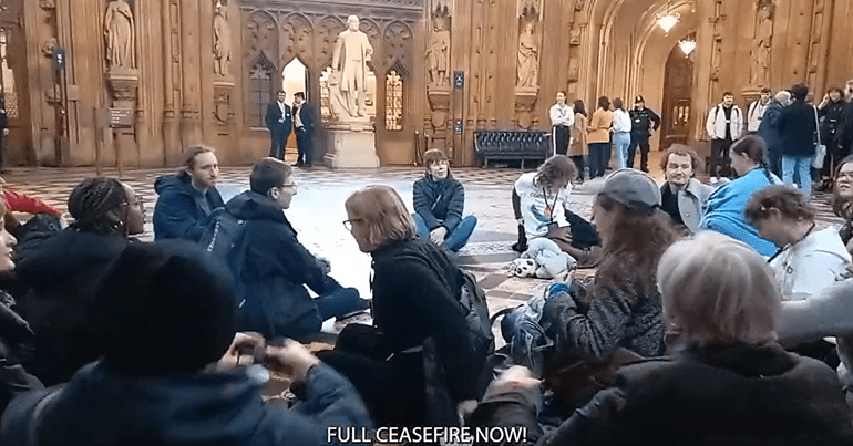 Palestine activists in UK parliament