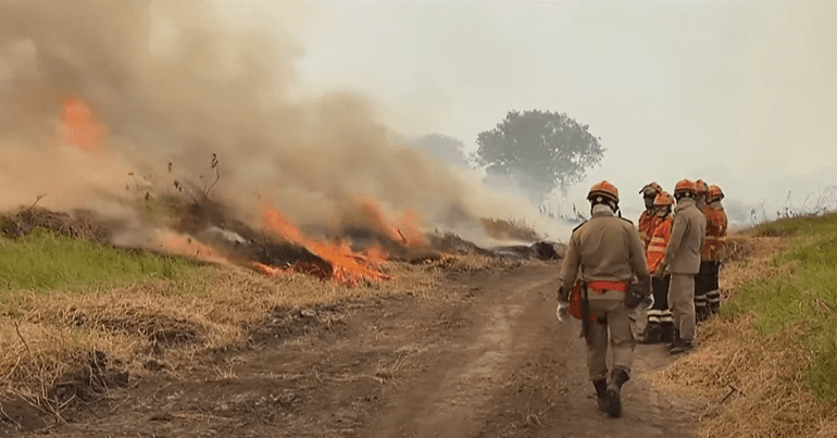 Pantanal fires Brazil