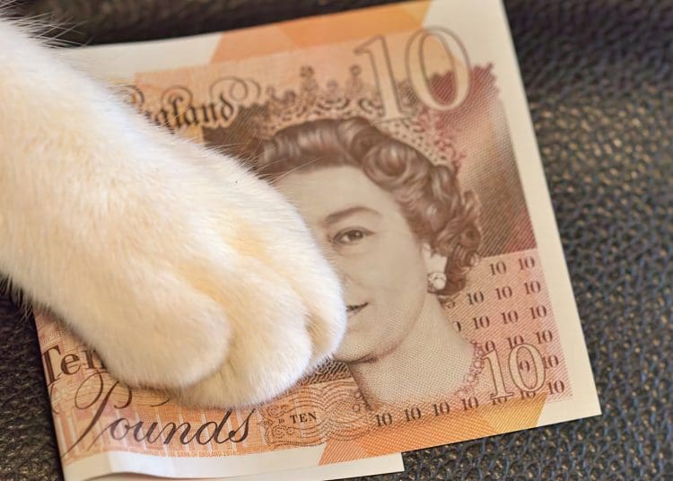 A cat paw grabbing a ten pound note High Pay Centre