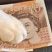 A cat paw grabbing a ten pound note High Pay Centre