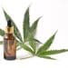 Cannabis leaf and bottle cannabinoids