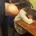 Devon and Cornwall police raid a pensioners home