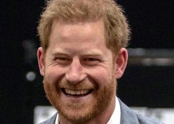 Price Harry African Parks