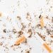 cigarettes broken tax economic production