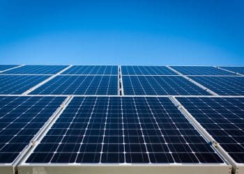 4 benefits of pigeon proofing your solar panels