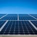 4 benefits of pigeon proofing your solar panels