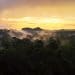 Amazon rainforest zoonotic diseases