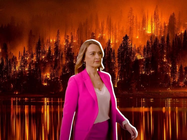 Laura Kuenssberg in front of forest fire