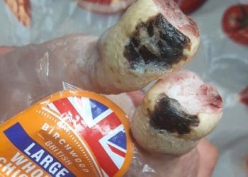 Lidl chicken with hock burn