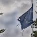 Torn EU flag EU elections