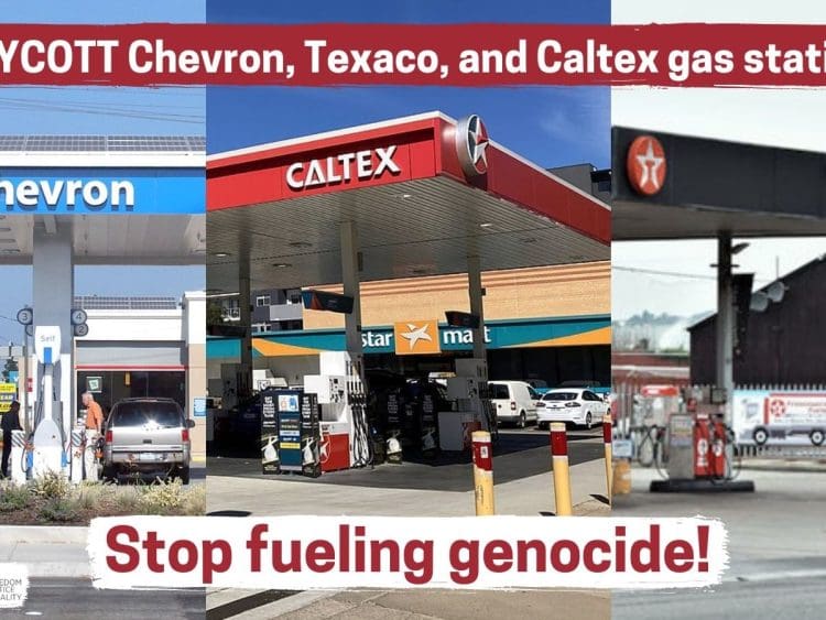 BDS Chevron image with petrol stations