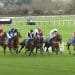 Cheltenham Festival horses racing with jockeys
