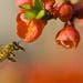 Government accused of now breaking environmental law TWO YEARS in a row
