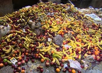 UNEP food waste report a pile of rotting food