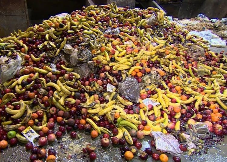 UNEP food waste report a pile of rotting food