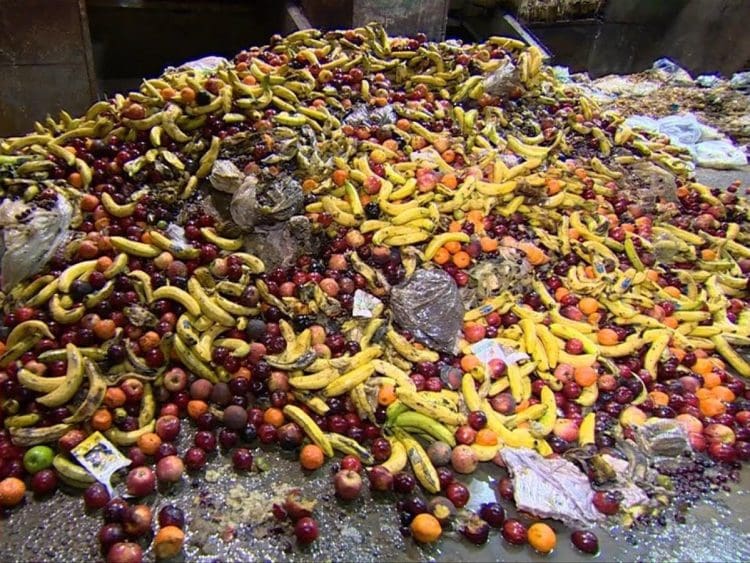 UNEP food waste report a pile of rotting food