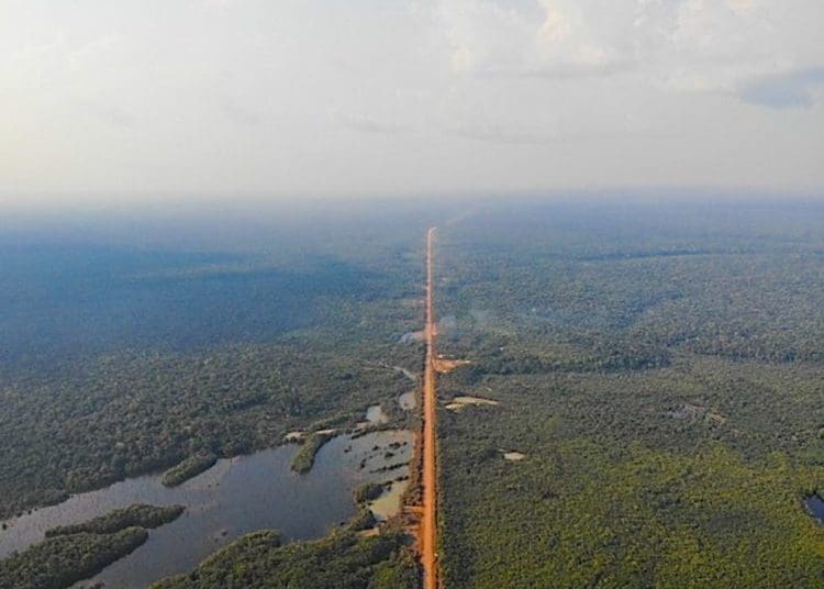 br-319 from the air lucas ferrante