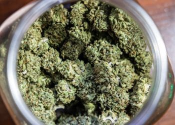 cannabis ready to smoke Germany