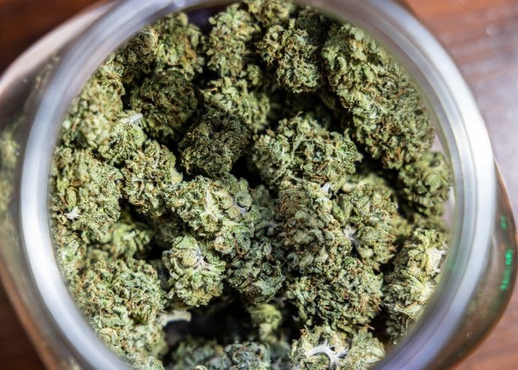 cannabis ready to smoke Germany