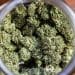 cannabis ready to smoke Germany