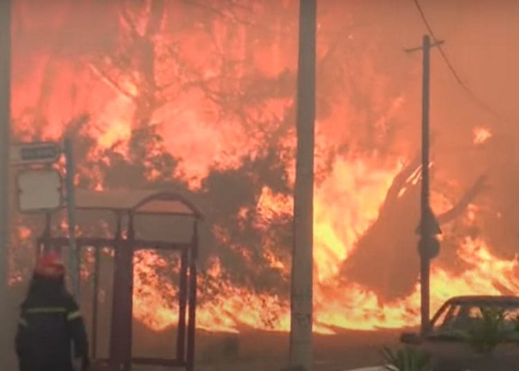 Wildfire razes a forest in Greece climate risk