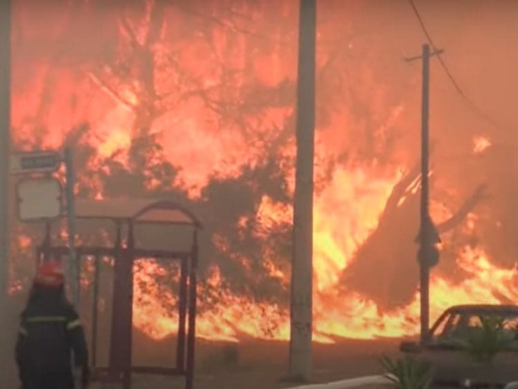 Wildfire razes a forest in Greece climate risk