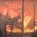 Wildfire razes a forest in Greece climate risk