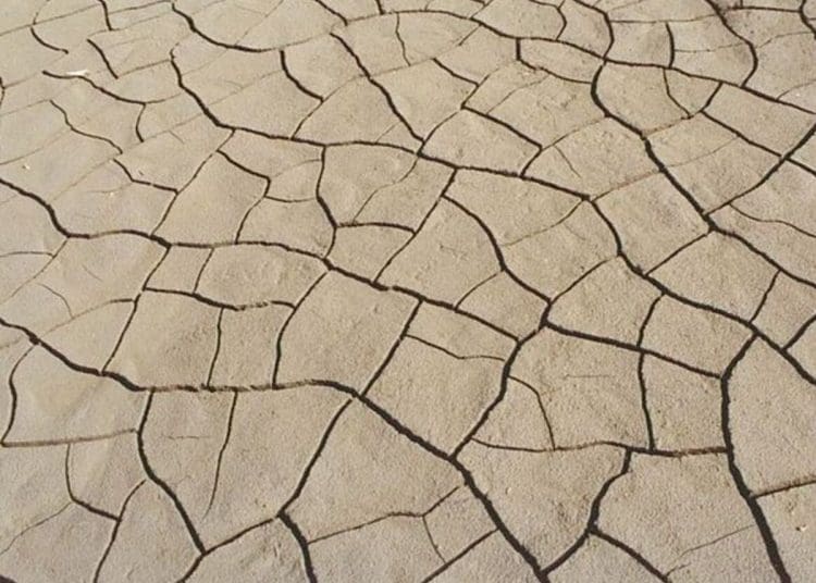 Fissures in dried out mud from extreme heat climate crisis europe