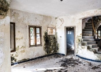 A mouldy property Renters Reform Bill